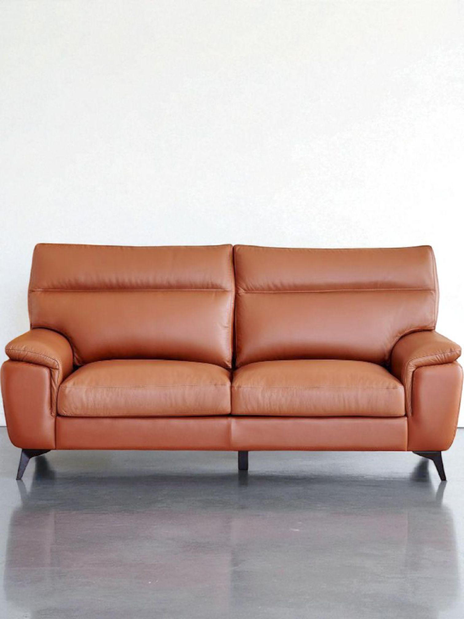 Pioneer CozyNest 2-Seater