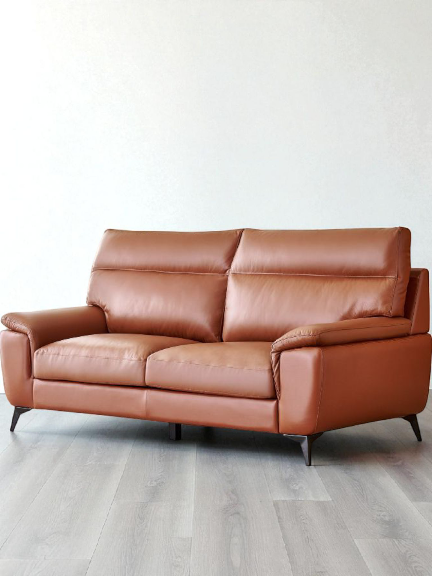 Pioneer CozyNest 2-Seater